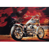 Harley 2 (50 x 70 actual picture size)