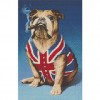 Great British bulldog 40 x 63 picture size