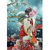 Geisha Girl 4 (50 x 70 actual picture size)
