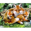 Fox Family 1 (40 x 50 actual picture size)