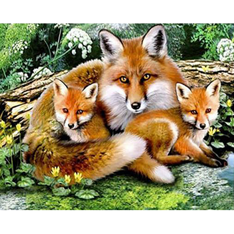 Fox Family 1 (40 x 50 actual picture size)