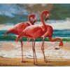 Flamingos (50 x 56 actual picture size)