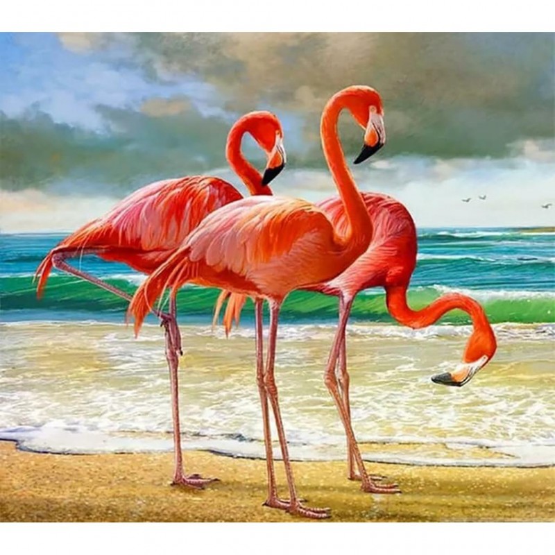 Flamingos (50 x 56 a...