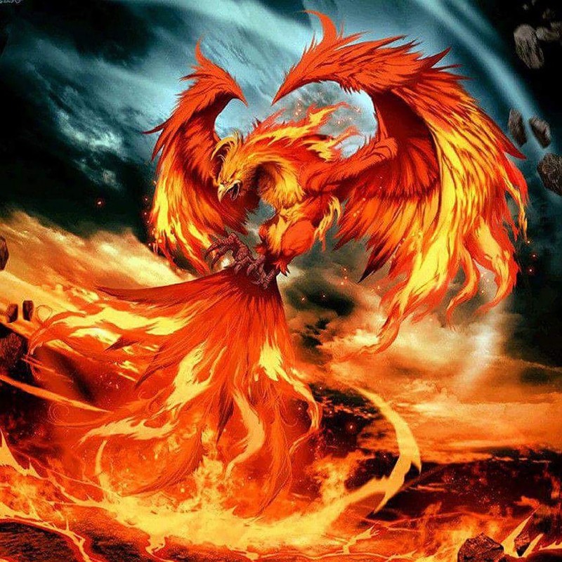 Fire Dragon (48 x 48...