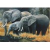 Elephants Drinking (50 x 70)