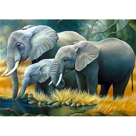 Elephants Drinking (50 x 70)