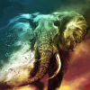 Elephant In A Storm (50 x 50 actual picture size)