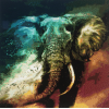 Elephant In A Storm (50 x 50 actual picture size)