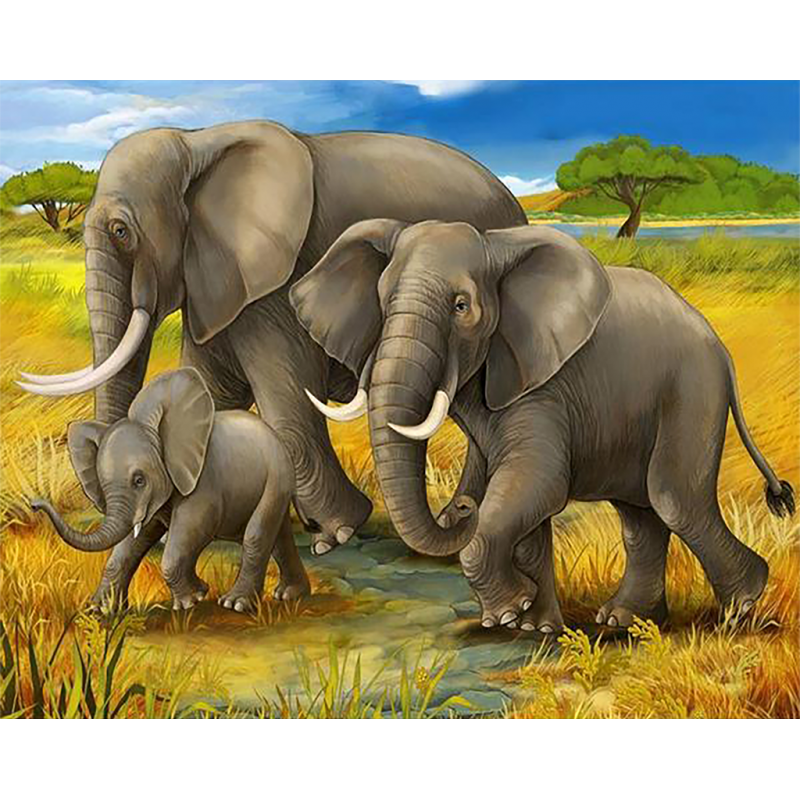 Elephant Family (40 ...