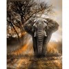 Elephant at dusk 48 x 60 picture size