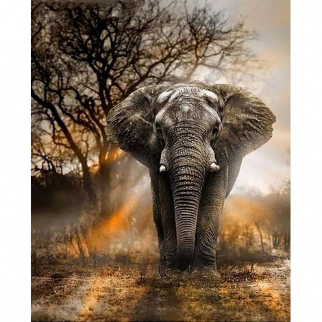 Elephant at dusk 48 x 60 picture size