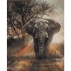 Elephant at dusk 48 x 60 picture size