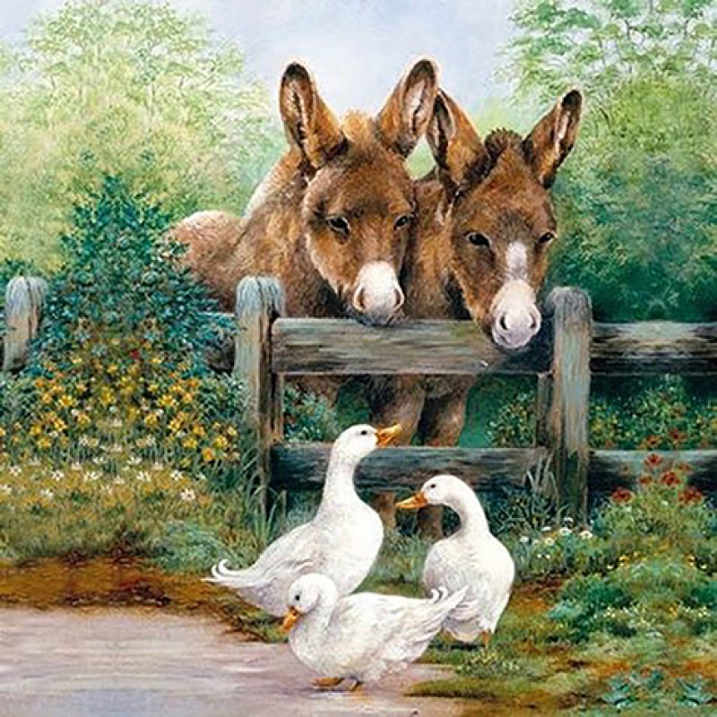 Duck & Donkey (...