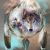 Dream Catcher Wolf (50 x 50)