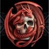 Dragon Scull 48 x 48 picture size