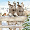 Donkeys In The Snow (50 x 50)