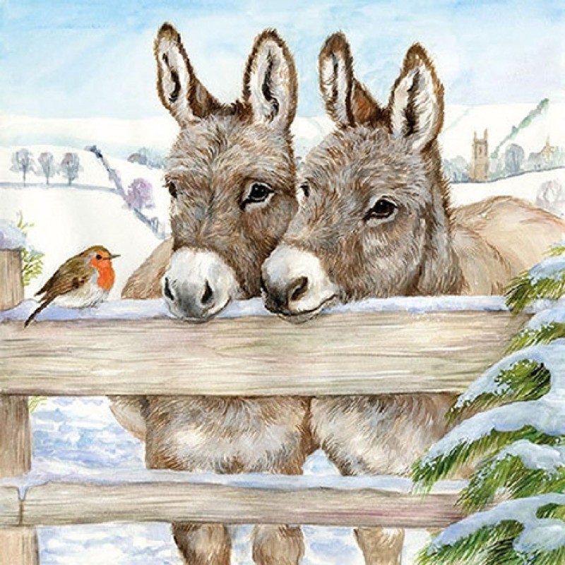 Donkeys In The Snow ...