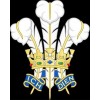Crest (40 x 50)