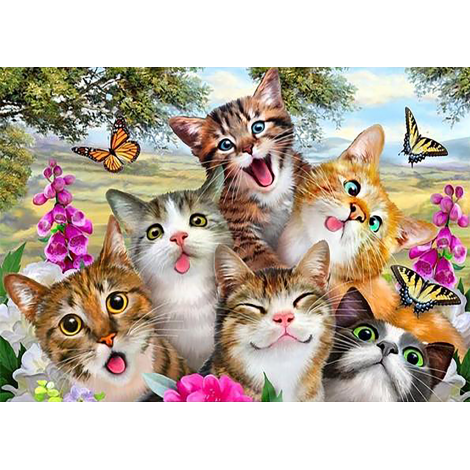 Crazy Cats (50 x 70 actual picture size)