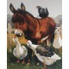 Donkey On The Farm (40 x 50)