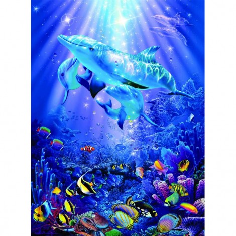 Dolphins Playing (50 x 68 picture size)