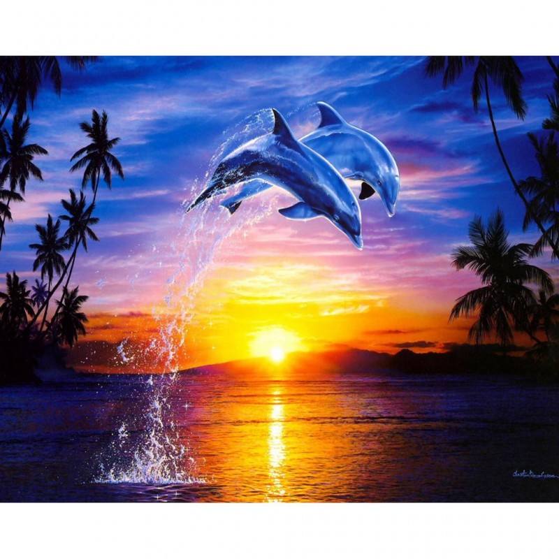 Dolphins (50 x 40 pi...