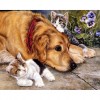 Dog & Cats. (48 x 58 picture size)