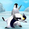 Dancing Penguins (50 x 50 actual picture size)