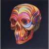 Colourful Scull (50 x 50 actual picture size)