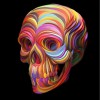 Colourful Scull (50 x 50 actual picture size)