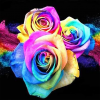 Colourful Flowers (50 x 50 actual picture size)