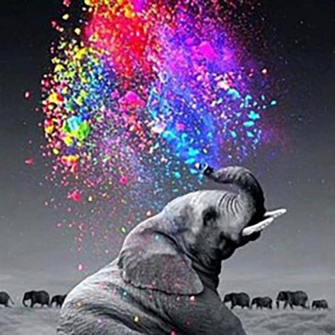 Colourful Elephant 50 x 50 picture size