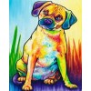 Colourful Dog 8 (40 x 50)