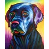 Colourful Dog 5 (40 x 50)