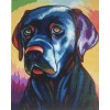 Colourful Dog 5 (40 x 50)