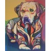 Colourful Dog 2 (40 x 50)