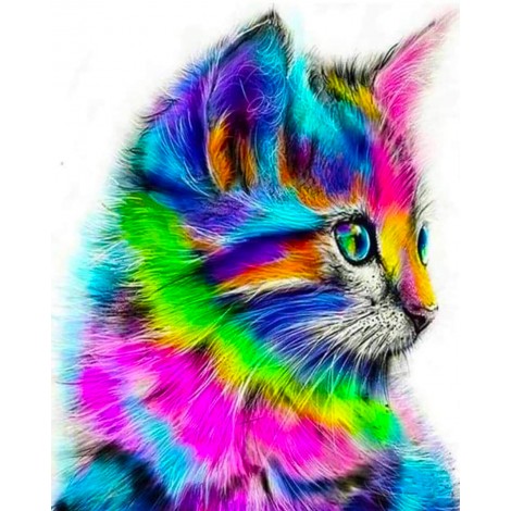Colourful Cat (40 x 50 actual picture size)