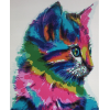 Colourful Cat (40 x 50 actual picture size)
