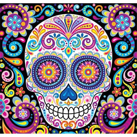 Colour Scull (50 x 50 actual picture size)