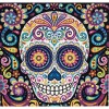 Colour Scull (50 x 50 actual picture size)