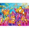 Clown Fish (40 x 50 actual picture size)