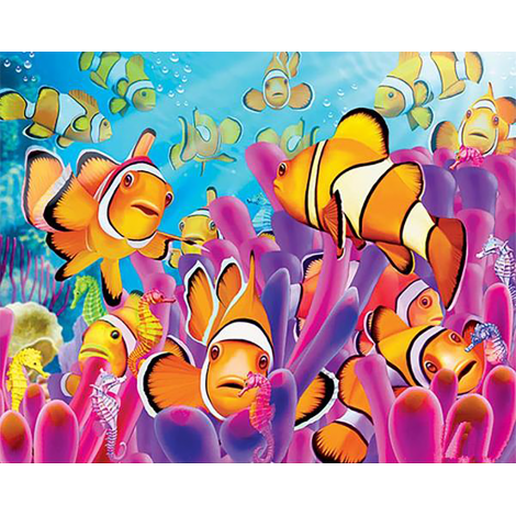 Clown Fish (40 x 50 actual picture size)