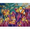 Clown Fish (40 x 50 actual picture size)