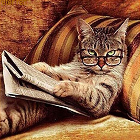 Clever Kitty 50 x 50 picture size