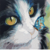 Butterfly Cat (50 x 50 actual picture size)