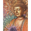 Buddha 8 (40 x 50 actual picture size)