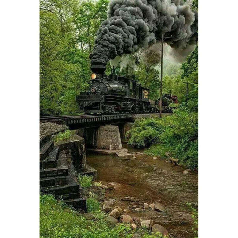 Black Train (46 x 70...