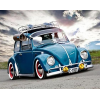 Beetle (40 x 50 actual picture size)
