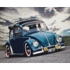 Beetle (40 x 50 actual picture size)