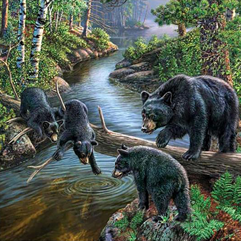 Bears Playing (50 x 50 actual picture size)